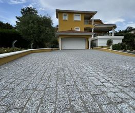 Afonso Pavage image 1