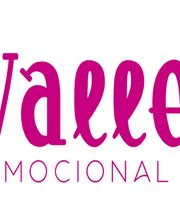 Del Valle Bienestar Emocional imagen 4