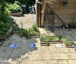Gartenservice Mark Miess Bild 10