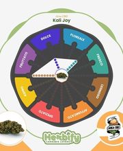 Herbify Cannabis Lovers Delivery immagine 7