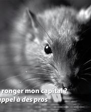 Farago Cantal image 2