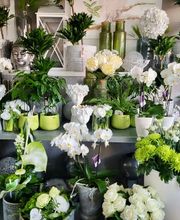 Blumen Hautmann Bild 2