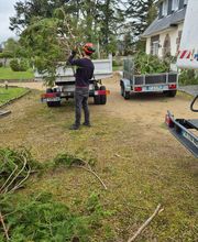 Jlr Elagage Cotes d'Armor image 9