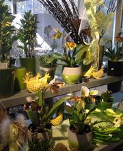 Rüegg Blumen Bild 3