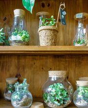 Brin De Nature image 4