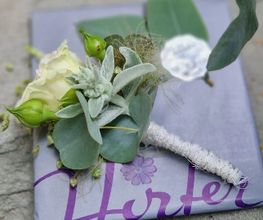 Blumen Hirter Bild 1