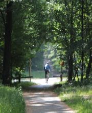 Picardie Forêts Vertes image 1