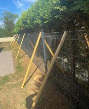 Pinto Manuel image 1