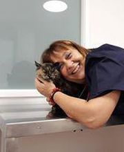 Arca Veterinaria imagen 20