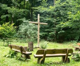 FriedWald Lauterbach Bild 9