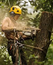 de Jong – Gartengestaltung-Baumpflege Bild 5