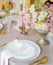 Butterbird Weddings & Events Inh. Julia Kurz Bild 5