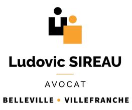 Sireau Ludovic image 8