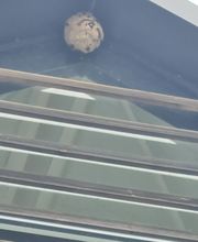 Breizh Nuisibles Services image 16