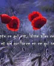 Sophro&Agua16 image 3