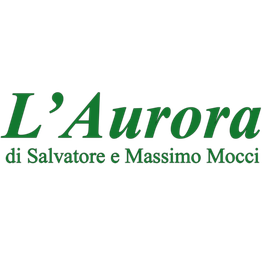 Agenzia Funebre Aurora logo