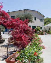 Gallery Professionale