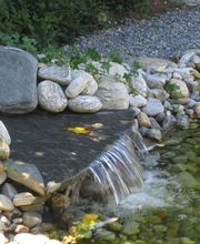 Garten Bürli GmbH Bild 7