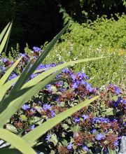 Art D'horizon image 20