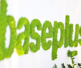 Baseplus DIGITAL MEDIA GmbH Bild 5