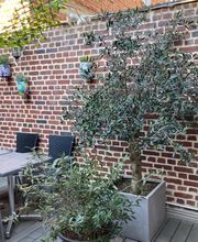 La Remise De Tantine image 7