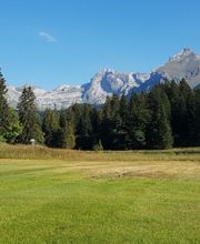 A.Moser Technische Produkte