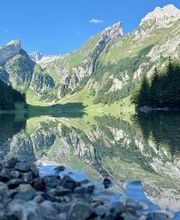 Marcel Leeb - Systemisches Coaching in freier Natur Bild 10