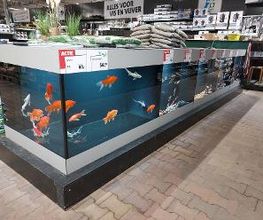 Intratuin Nijkerk afbeelding 20