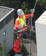 A.R.C.Tec Baumgutachten, Baumpflege Bild 3