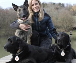 Hundeschule Südwest Bild 2