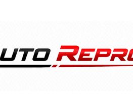 Auto Reprog image 11