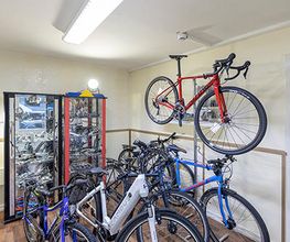 Fahrrad Schmalley Bild 1