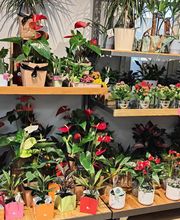 Cœur de Fleurs image 9