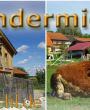Andermichlhof Bild 8