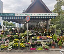 Pereira Rodrigues - Rodrigues Fleurs Bild 3