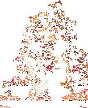 «uff em Märt»
Eiche Metzgerei +
Party-Service AG