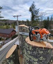 Happy Stump Tree Service image 7