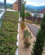 Kummer Gartenbau - Pflanzenoase Bild 13