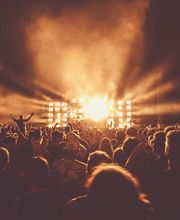 bammerlin - consulting Bild 5