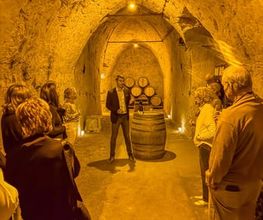 GRAPE EXPERIENCE image 4