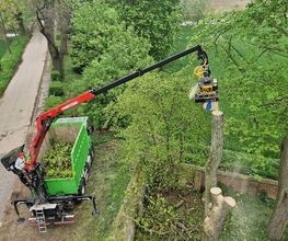 Baum-plus GmbH Bild 8