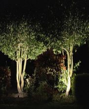 SARL Chrétien image 6