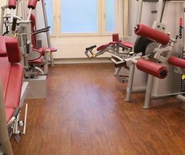 Friedau - Institut für Physiotherapie Cees Kruyver Bild 3
