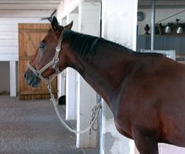 Little-G-Ranch Bild 1