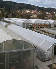 Gärtnerei Egli GmbH Bild 2