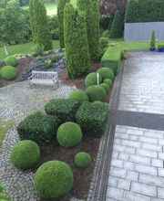 Thorsten Gehring Bild 3