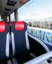 Cars Collard image 18