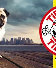 Tip Top Tiershop Bild 1