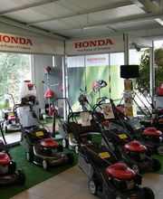 Steib Garten-Technik-Baumschule Bild 2