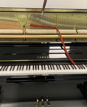 Bulanda Fanny image 5